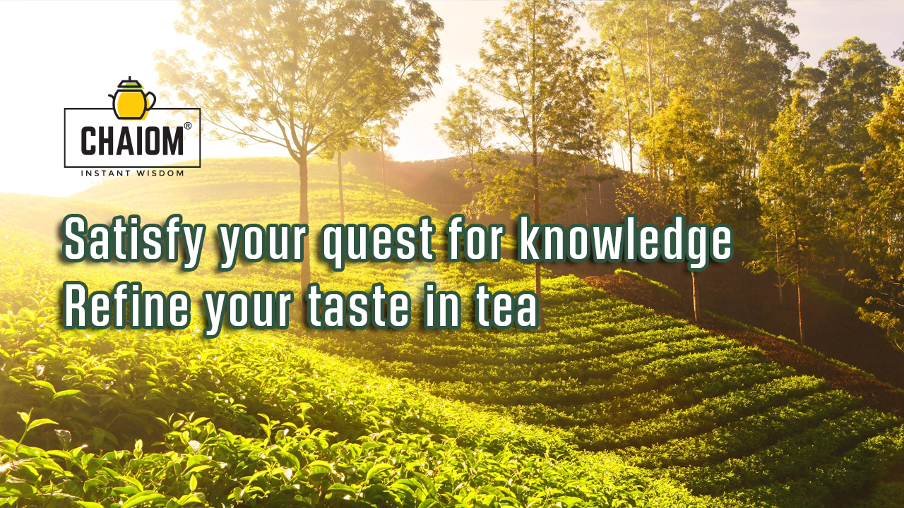 Chaiom-Tea-Journey