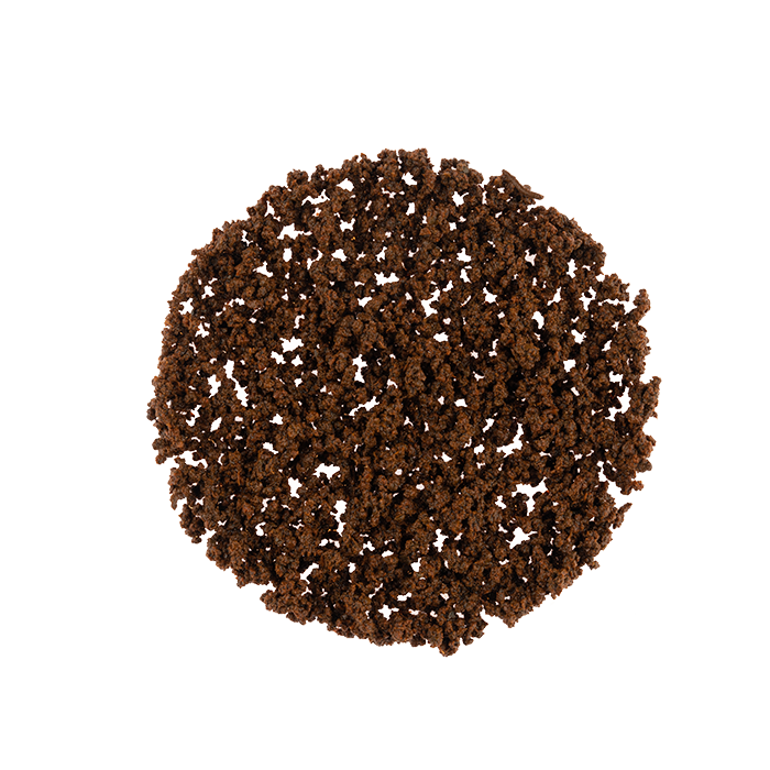 Black Tea