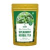 Spearmint Leaves 100gm